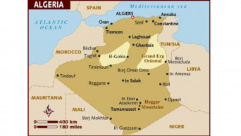 1 terrorist killed in anti-terror operation in NW Algeria