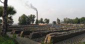 Illegal brick kilns still continue to thrive in Gazipur