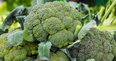 Manirampur farmers making money by broccoli farming