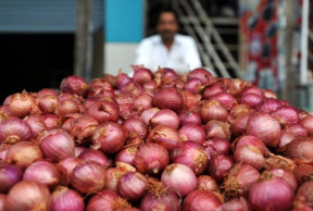 Indian govt bans export of onions  