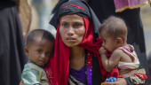Myanmar envoy: Gov't can handle accountability for Rohingya