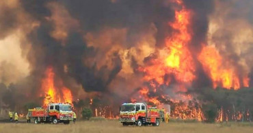 Dhaka mourns loss of lives in Australia bushfires