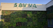 An Unconventional Lunch at Savva