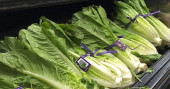 US officials: Don't eat romaine grown in Salinas, California