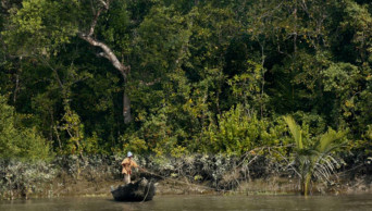 65-day fishing ban in Sundarbans begins Monday