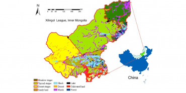 Inner Mongolia sees rising vegetation coverage of grasslands