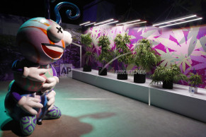 Marijuana museum opens in Vegas