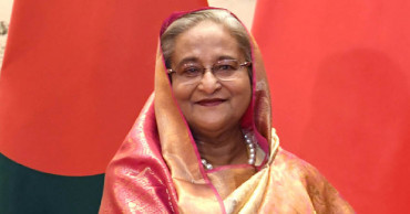 Spread Bangla culture, literature across world: PM