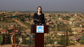 Show genuine commitment to improve conditions in Rakhine: Jolie