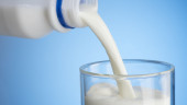 Indian lab test finds no problem in Bangladesh milk: Razzaque