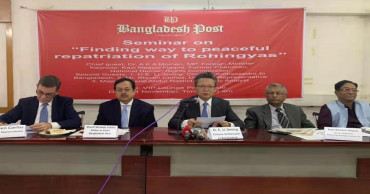 Beijing to push for ‘early’ Rohingya repatriation: Envoy