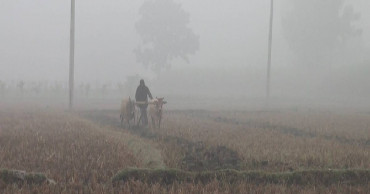 Panchagarh shivers in year’s lowest temperature 6.2˚C