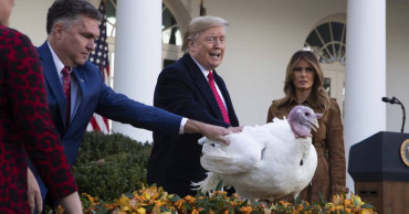 Trump tells impeachment jokes at annual turkey pardon event