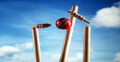 Police Cricket: Sherpur, Netrokona reach final