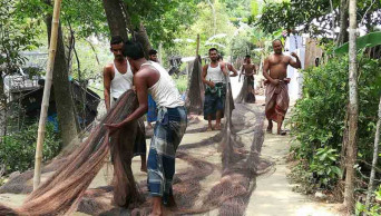 Fishermen ready to go back to Bay as Hilsa ban goes from Monday