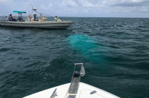 Investigators recover helicopter that crashed in Bahamas