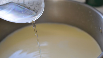 SC stays HC ban on milk production, marketing of 11 companies