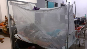 16 dengue patients admitted to Bogura hospital