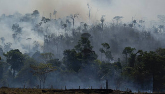 Respiratory ailments hit in Amazon as Brazil spurns G-7 aid