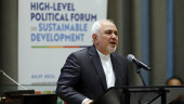 Iran FM says US sanctions 'economic terrorism'