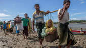 Rohingya Repatriation: NAM calls for creating conditions in Rakhine