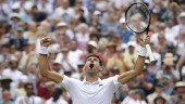 Djokovic's 10-game run tops Goffin in Wimbledon quarterfinal