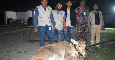 Slaughtered deer, deer hides recovered in Khulna