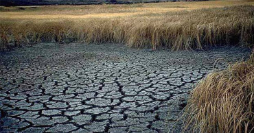 Severe drought dries up reservoirs, affects crops in east China