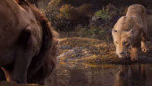 "Lion King" still leads Chinese mainland box office