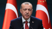 Defying NATO allies, Turkey says it rejects Syria cease-fire