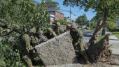 Canada soldiers helping to remove fallen trees after Dorian