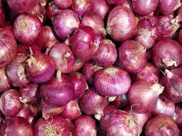7,000-8,000 mts onion to arrive from Egypt by early Nov: Minister  