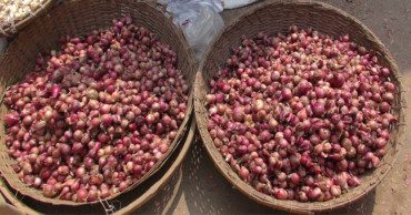 Local variety hits Faridpur onion markets, price falling 