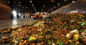 Consumers waste much more food than commonly believed: study