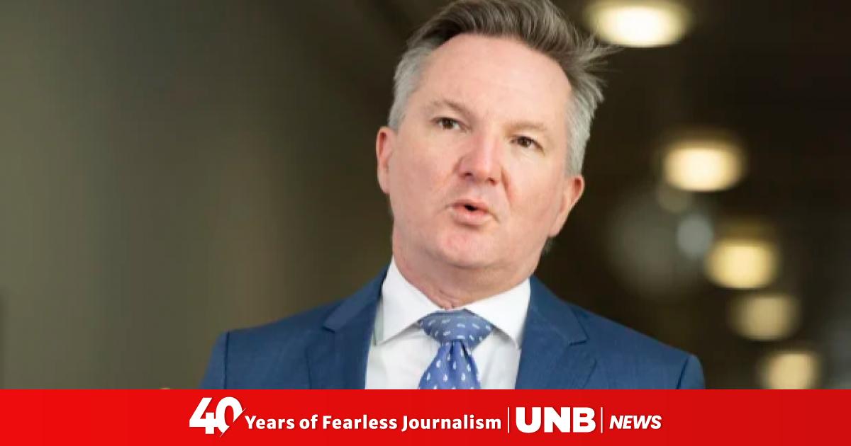 All violence to all Bangladeshis is to be deplored: Australian Minister