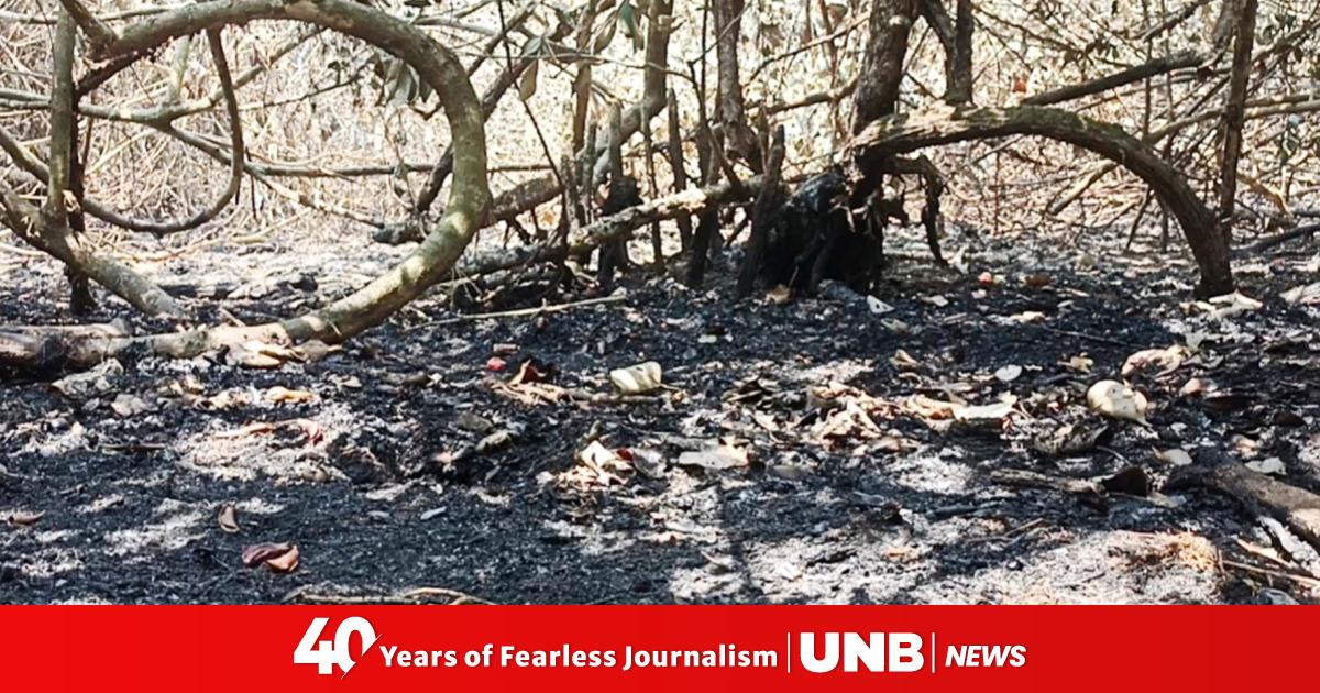 Sundarbans Fire: Water being used to extinguish remaining flames and ...