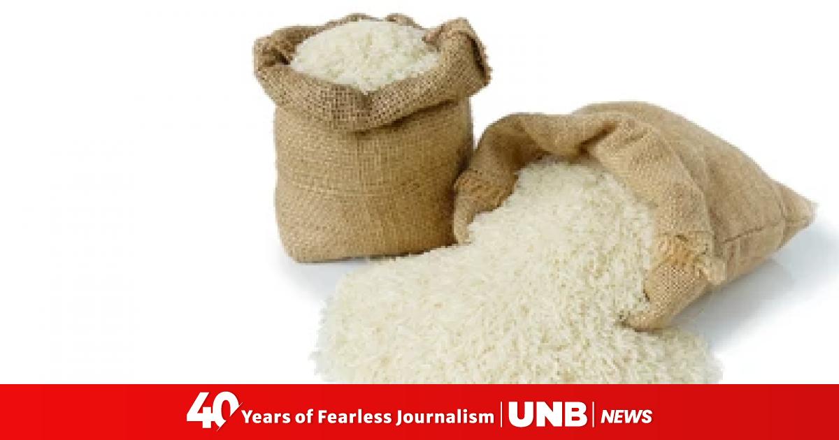 Sharp fall in rice prices may hurt farmers: Food Adviser