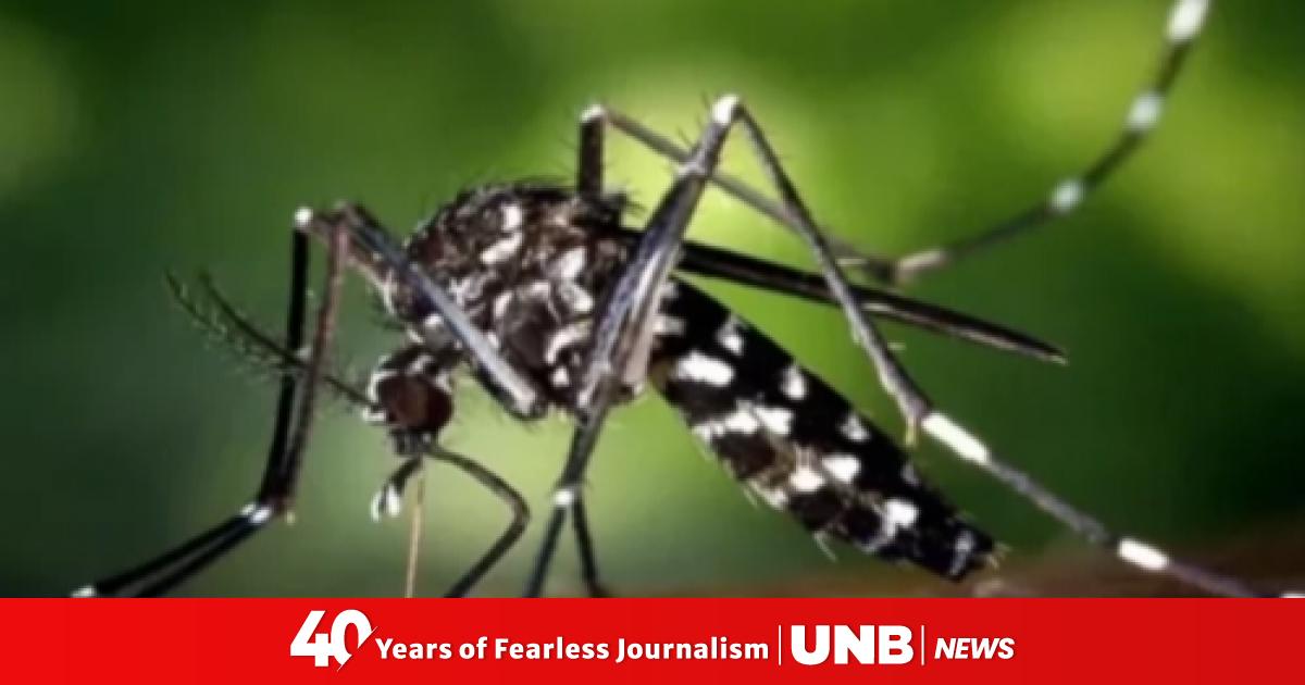 Dengue claims one more live; 262 hospitalised in 24hrs