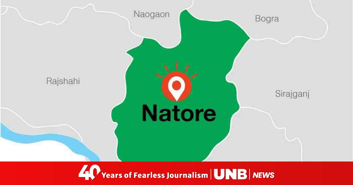 4 hurt as ambulance crashes into tree in Natore