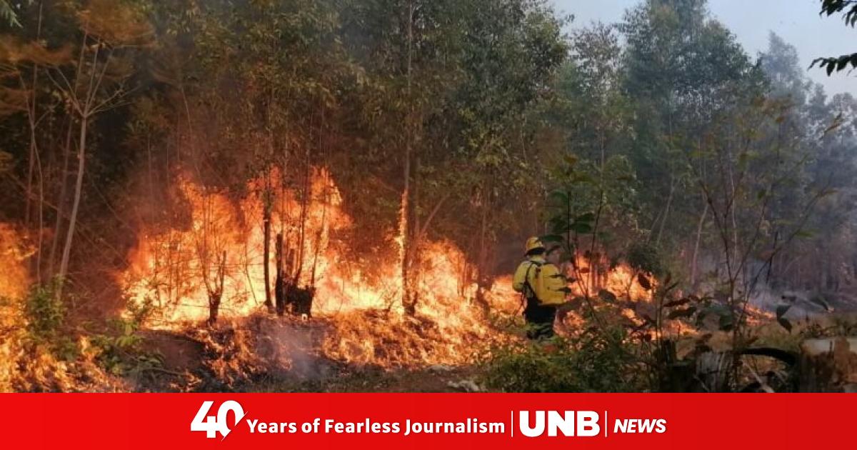 Staying safe in a wildfire: What to pack and when to evacuate
