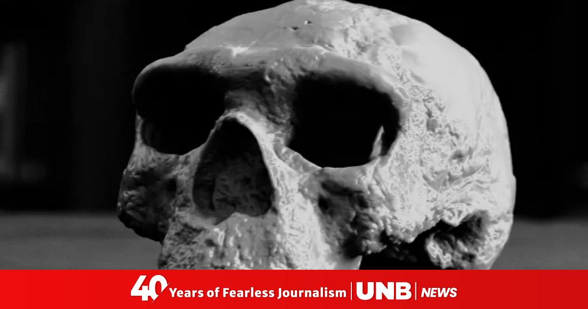 Million-year-old skull may rewrite timeline of human evolution