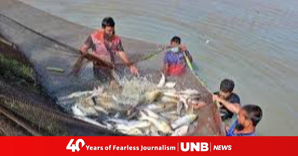 Govt intensifies nationwide drive to boost fish production, protect ...
