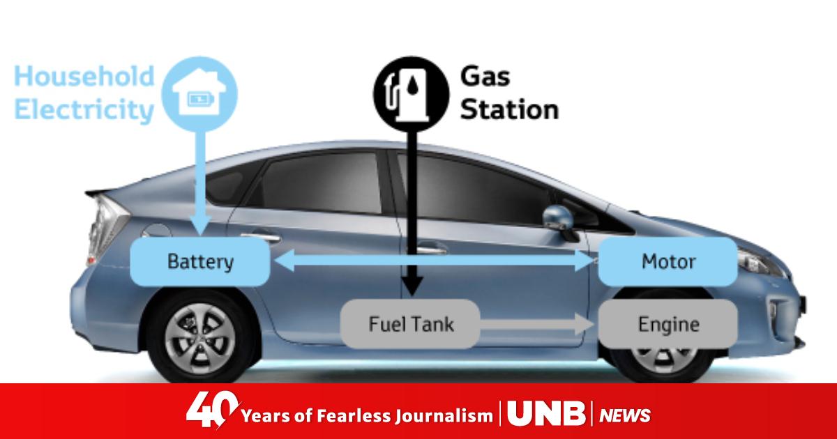 China leads in electric, hybrid vehicle market: survey